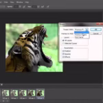 How to Make a GIF in Photoshop: A Comprehensive Step-by-Step Guide